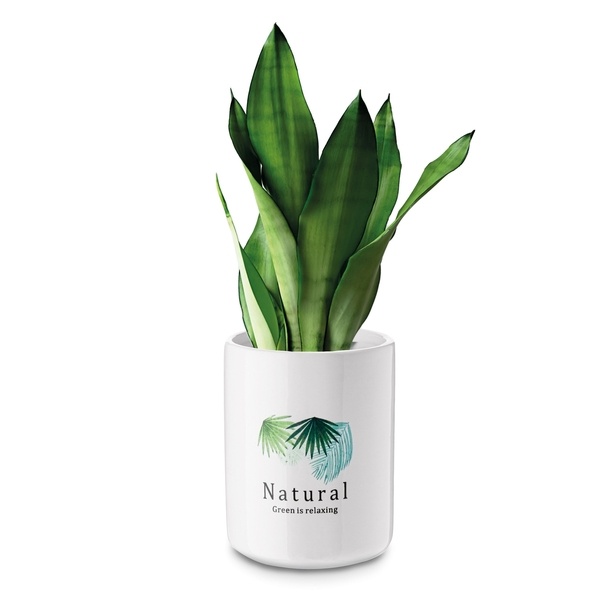 Pojemnik ceramiczny uniwersalny Tadar Natural 700 ml