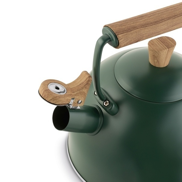 Czajnik na gaz i indukcję Starke Pro Harit II 2,5 l zielony
