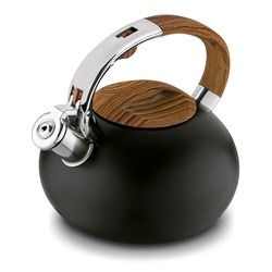 Czajnik nierdzewny Konighoffer Douglas 2,5 l czarny