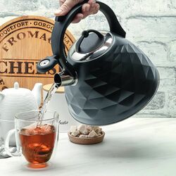 Czajnik na gaz i indukcję Tadar Crystal 3 l szary mat