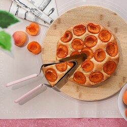 Nóż do porcjowania ciasta Tadar 20 cm
