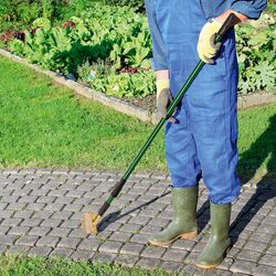 Szczotki do usuwania chwastów z kostki brukowej Tadar Weed 2 sztuki